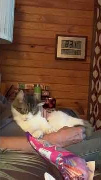 Sugar Baby First Time In The Living Room For MONTHS! Sugar Baby: “I Miss Being In The Living Room”