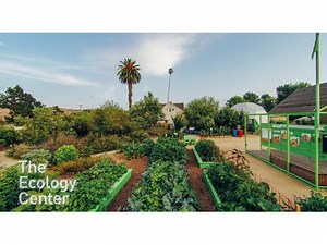 Permaculture Design Certification Course (June-August)