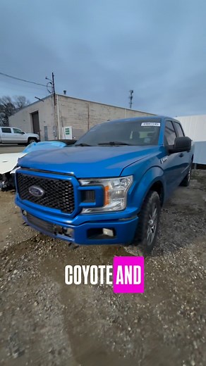 We are the Gen 3 Coyote Headquarters 🙏 They just keep rolling in! | MARS Auto Parts & Engine Swaps