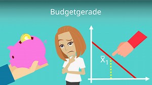 Budgetgerade und Budgetrestriktion berechnen