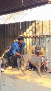 Best vlog For Students | bhojpuri mini vlog #bhojpuri #minivlogs #minivlog | Vishal Guru