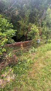 Let's go exploring abandoned house! . . . #abandoned #abandonedplaces #discoverearth #forgotten #lost #explore #forgottenplaces #creepy #abandonedearth #urbex #lostplaces | Abandoned Places