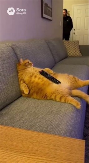 Security Camera Catches Fat Orange Cat’s Panic Run 🐱💨 #OrangeCat