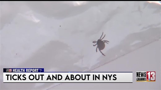 Fourteen tick species identified in NY