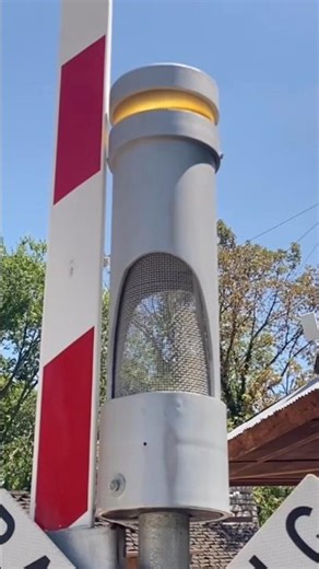 Miniature Zoo Train Railroad Crossing with Real Full Size RSI Electronic Bell! #shorts