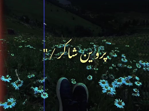 Discover the Poetry of Parveen Shakir: Touching Hearts