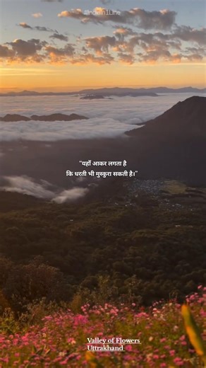 📍 Valley of Flowers National Park #youtubeshorts #uttarakhand #morningview #travel #flowers