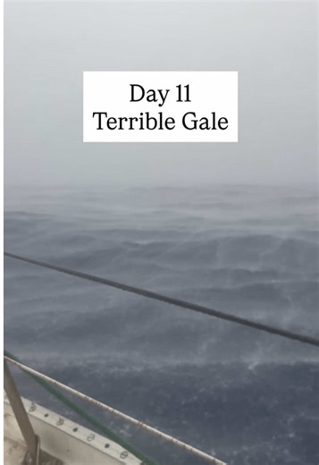 Day 11 no gps— lovely morning to terrible gale. I think that this video does a good job of showing the oceans wonder, coupled with its amazing power. Grateful to have made it through the gale. Sail on! Don’t even ask about our position haha. Without a clear sky, we can’t take sights and really we have no idea where we are right now. But we aren’t on a reef and that’s what matters!!
