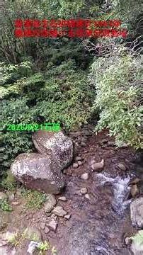 普渡長生石拱橋1953建