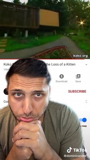 The Gorilla that spoke sign language! #learnontiktok #tiktokpartner #education