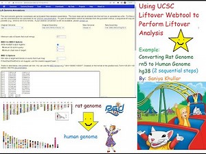 Using the UCSC Liftover Webtool to Perform Liftover Analysis (Ex.: Rat rn5 to Human hg38 Genome)