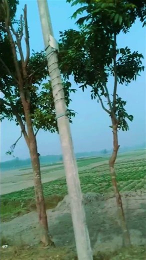 new trending song edi tutorial 🙂💕🥰 #shortsfeed #viralshort #trandingedit#tradingshorts #viralreels