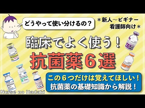 【良く使う抗菌薬６選！】とりあえずこの抗菌薬だけは覚えておこう！