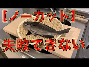 【ノーカット版】失敗しないさばき方をわかりやすく説明。メジナ（グレ）の三枚おろし編！ウロコが飛び散らない。