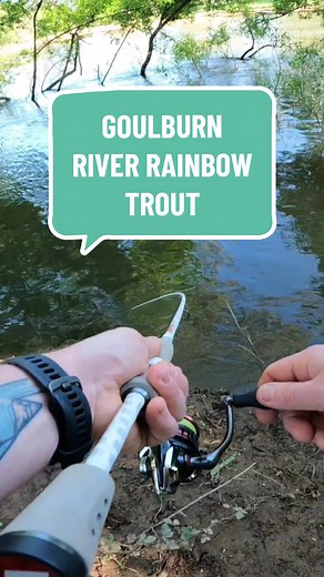 Catch Big Rainbow Trout in Goulburn River with Berkley T-Tail Minnow