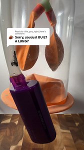 4.2K views · 20 reactions | See what vaping really does to your lungs  The damage isn’t always obvious... until it is. But the good news? Your lungs have the power to recover with the right support.  Here’s how to help clear out toxins! #herbalremedies #LungDetox #vapecommunity #vapelife #NaturalDetox #lunghealth IG - @adequatevapor | Betterbrand | Facebook