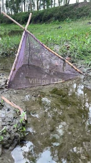 🎣 Village Ltd | Small River Hand Fishing | Traditional Catching Without Nets 2025 🌊✋🐟