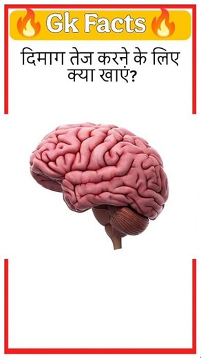 Dimag Tej Karne Ke Liye Kya Khaye? 🧠 GK Facts #shorts #facts #gk #currentaffairs #ytshorts