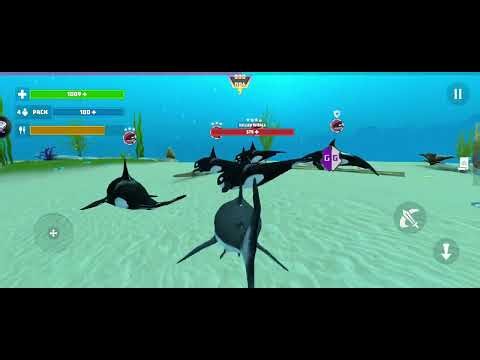 ┃[WIP SCRIPT]┃𝐒𝐡𝐚𝐫𝐤 𝐅𝐢𝐬𝐡 𝐒𝐢𝐦𝐮𝐥𝐚𝐭𝐨𝐫!┃