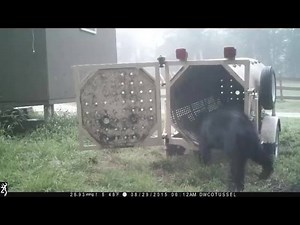 632 reactions · 312 shares | Pennsylvania Game Commission wildlife...