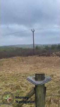 Take a Moment to Reset | Calm Nature Sounds in Rural Ireland #debtfreejourney #monthlybudgetplanning
