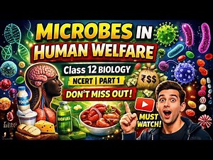 Microbes in Human Welfare | Class 12 Biology | NCERT | Part 1