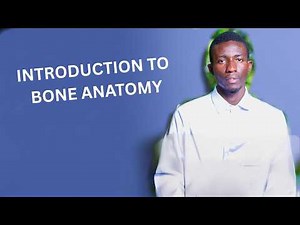 Bone Anatomy 101: Beginner's Guide to the Human Skeleton (Must-Know Basics!)