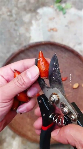 Unboxing: DIY Aroma Jar - The Secret Perfume You Can Only Make At Home