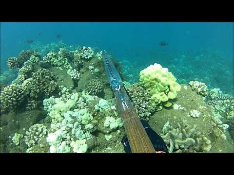 Spearfishing Maui Hawaii 2013 Session.1