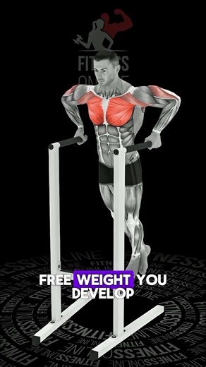 Chest Dips | Ultimate Lower Chest Builder! #gymmotivation #dumbleworkout #motivation #sports