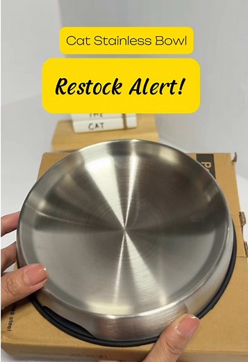 Cobbie the Cat on TikTok