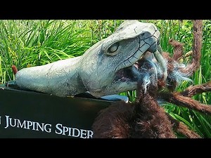 DIY SPIRIT HALLOWEEN 2020 jumping spider makeover/ Missing Finger Productions re-skin #halloween