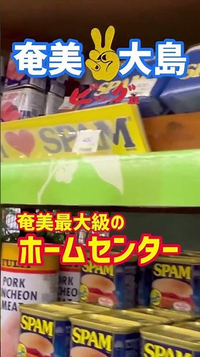 奄美大島 観光【切り抜き】奄美大島で最大級のホームセンタービッグⅡに行って来ました#shorts