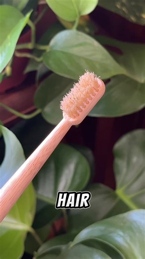 4 types of toothbrushes. 3 release microplastics. 1 doesn't. The math is that simple - and so is the choice. Here's the truth about what's in your bathroom: Plastic toothbrushes release up to 120 microplastic particles per use. A 2023 PubMed study (PMID: 38092338) confirmed you're ingesting 88,000 particles yearly. They enter your bloodstream, accumulate in organs, and never leave. Electric toothbrushes aren't better — same plastic bristles, same microplastic problem. Plus battery waste, replace