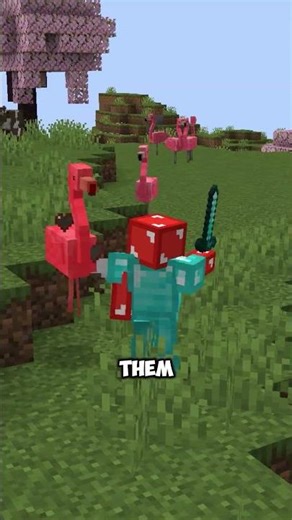 do NOT get close to this flamingo