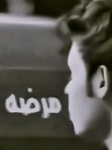 #اشعار #شعراء_وذواقين_الشعر_الشعبي🎸 #قصايد_شعر #f #fyp #foryou #foryoupage