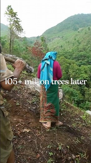 From how tentree started...