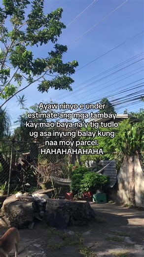 The Importance of Local Knowledge in Neighborhoods