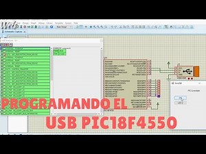 USB con PIC18F4550- Wels Theory