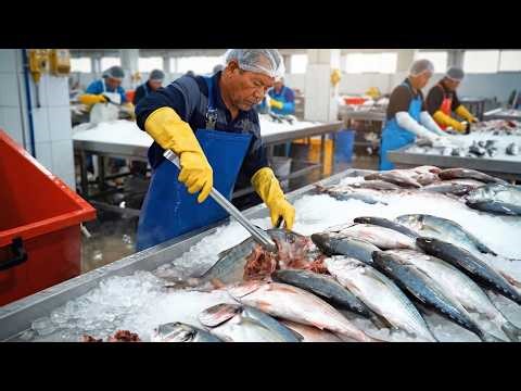 How Fish Sticks Are Actually Made: Inside A Massive Factory! 🐟