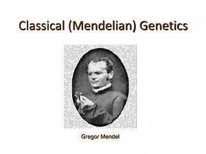 Classical (Mendelian) Genetics - SlideServe
