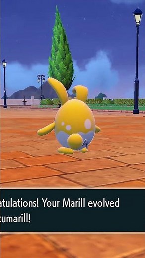 How To Evolve Maril Into Azumarill