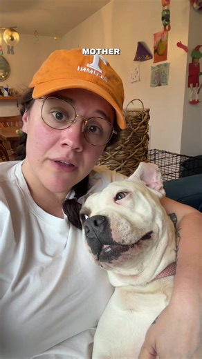 Understanding Pitbulls: My Journey as a Dog Mom