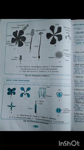 #12th #biology #practicalbook #handbook #journal #std12th #all handbook #12th science All handbook