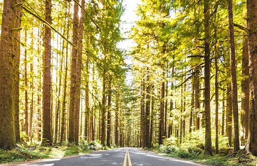 Lonely Planet's list of the best US state parks