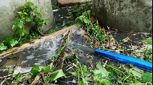 Household waste water. Do It Yourself. DIY. Cleaning and unblocking clogged drain.