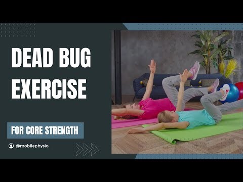 Dead Bug Exercise Step-by-Step | Build Core Stability at Home!