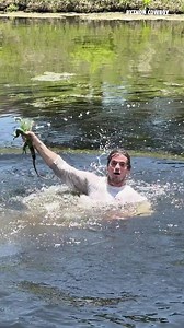 Iguana Drops From Tree, Reo Goes FULL SEND! | Python Cowboy Hunts