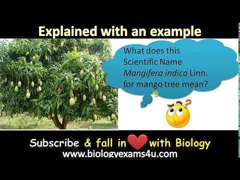 What is Binomial Nomenclature? Explained with an example