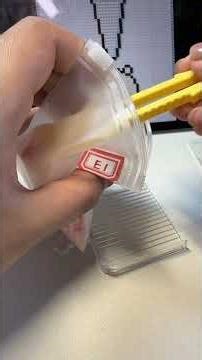 Immersive Perler Beads — Exclamation Mark Joke Bear❗🐻